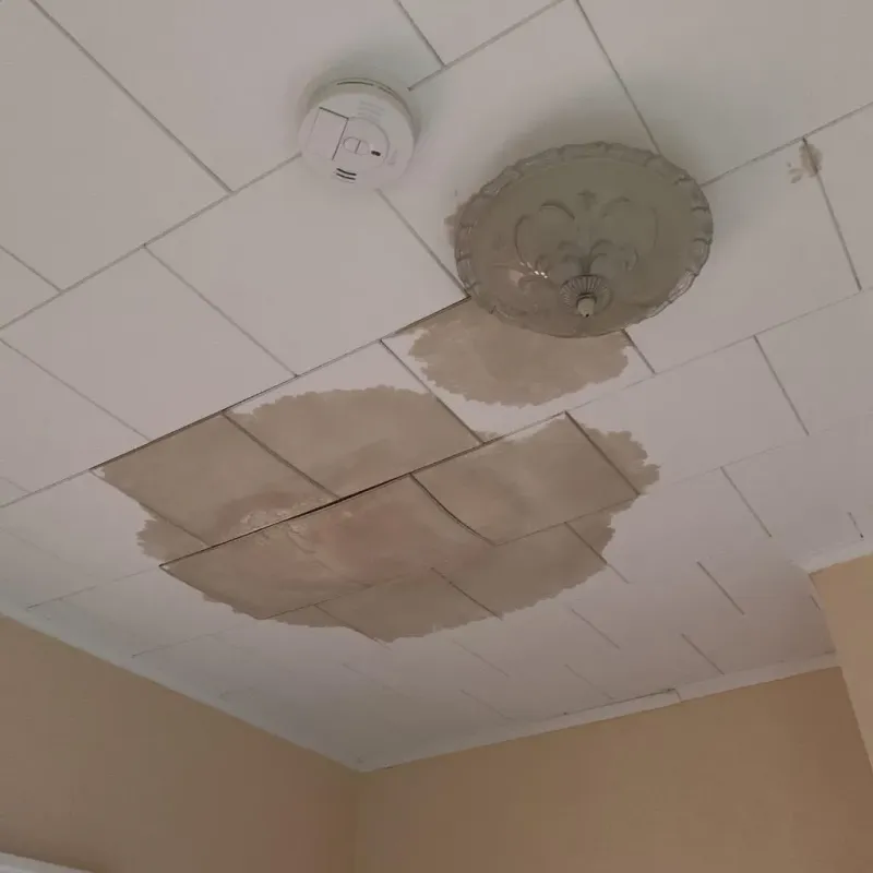 Ceiling Water Damage Repair in Saddle River, NJ